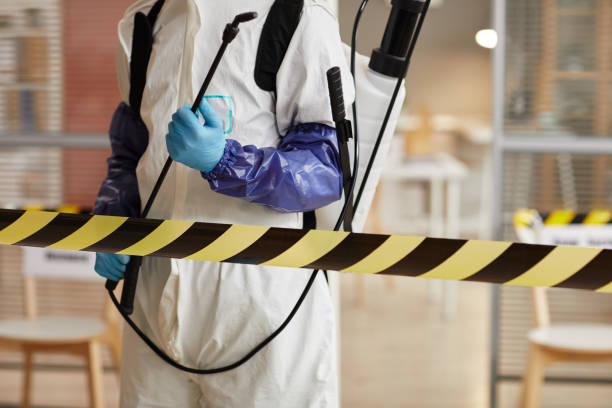 Professional Sewage Cleanup technician working in Underwood, IA